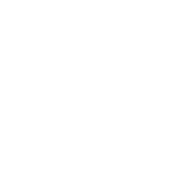 Dextools logo